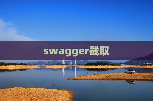 swagger截取